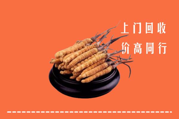 高价求购：牡丹江回收散虫草