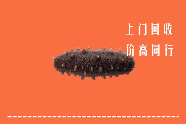 高价求购：牡丹江回收海参