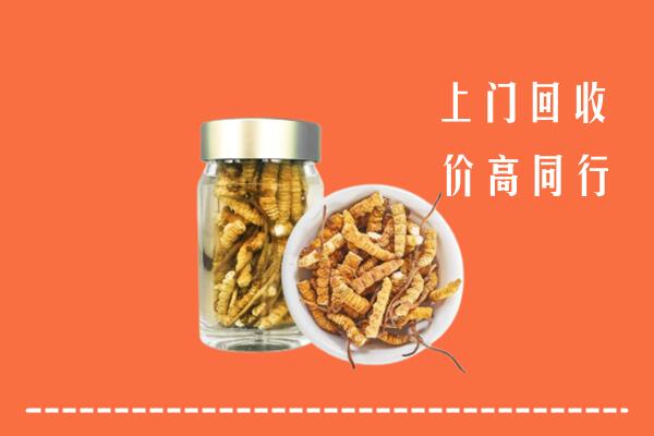 牡丹江回收冬虫夏草